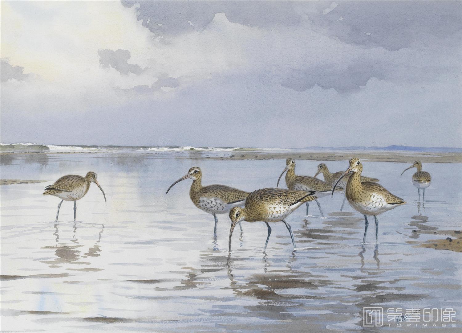 油画-约翰.赛里尔·哈里森 John Harrison作品集-053
